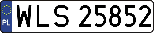 WLS25852