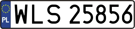 WLS25856