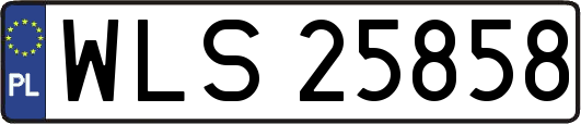 WLS25858