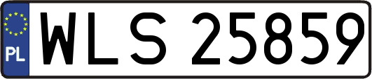 WLS25859
