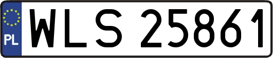 WLS25861