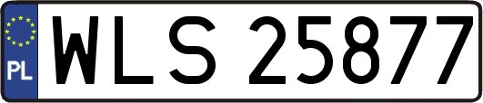 WLS25877