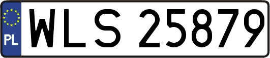 WLS25879