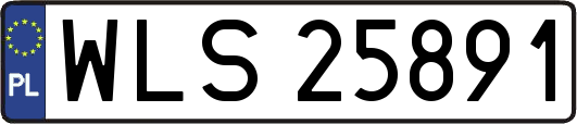 WLS25891