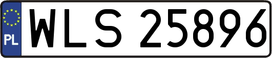 WLS25896