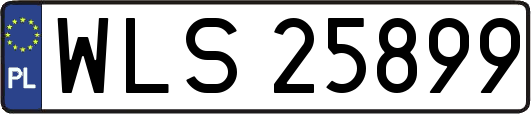WLS25899