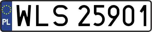 WLS25901