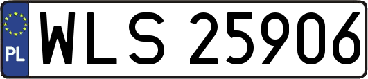 WLS25906