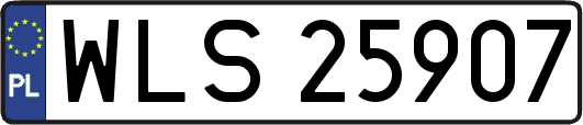 WLS25907