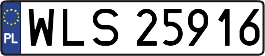 WLS25916