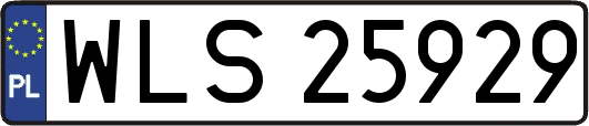 WLS25929