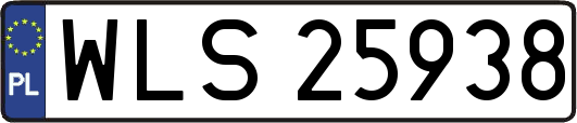 WLS25938