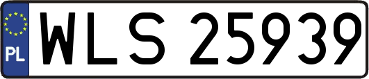 WLS25939