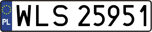 WLS25951