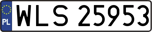 WLS25953