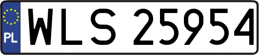 WLS25954