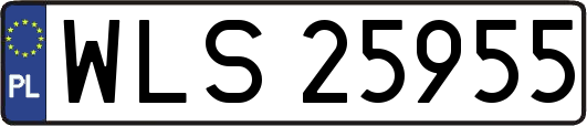 WLS25955
