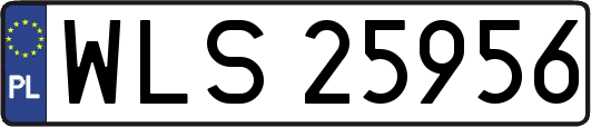 WLS25956