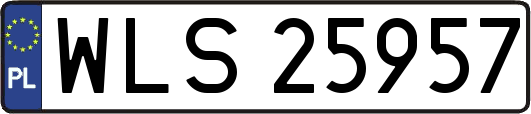 WLS25957