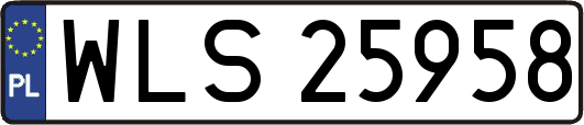 WLS25958