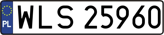 WLS25960
