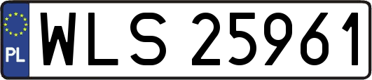 WLS25961