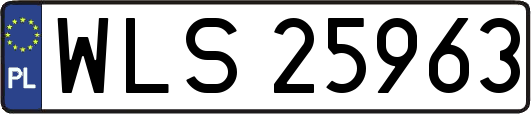 WLS25963