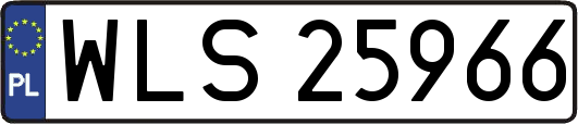 WLS25966