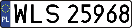 WLS25968