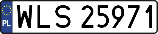 WLS25971