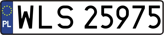 WLS25975