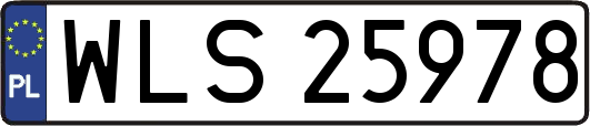 WLS25978