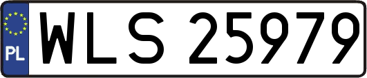 WLS25979