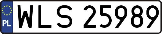 WLS25989