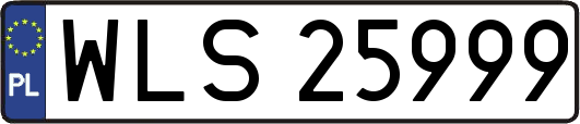 WLS25999