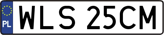 WLS25CM
