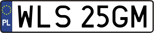 WLS25GM
