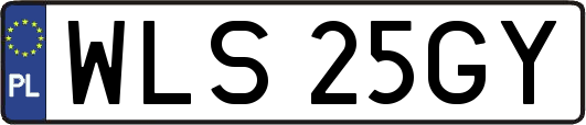WLS25GY