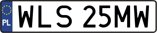 WLS25MW