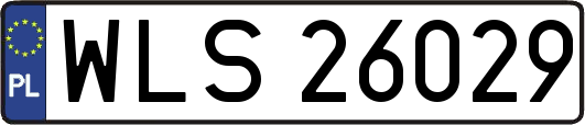 WLS26029
