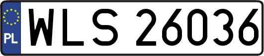 WLS26036