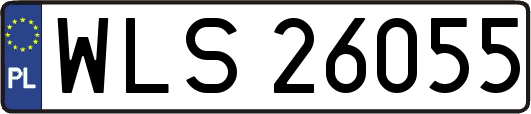 WLS26055