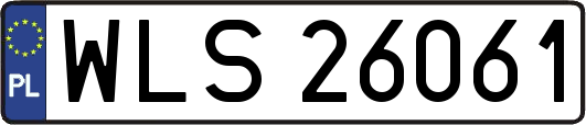 WLS26061