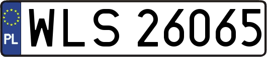 WLS26065