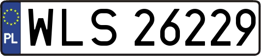 WLS26229