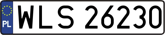 WLS26230