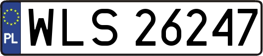 WLS26247