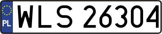 WLS26304