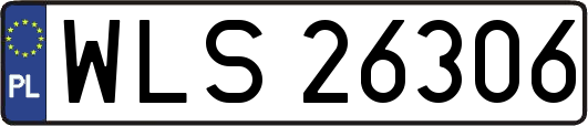 WLS26306