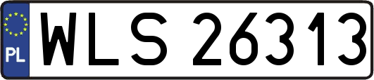 WLS26313